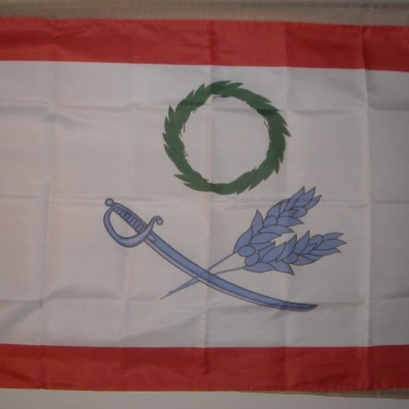 Flag of Louis de Aury 1816 Governor of Texas 3' x 5' Flag Banner Mexico - Picture 2 of 2